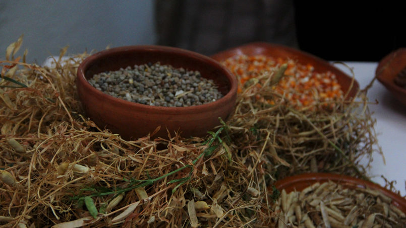 Il Tour Maracuoccio di Lentiscosa